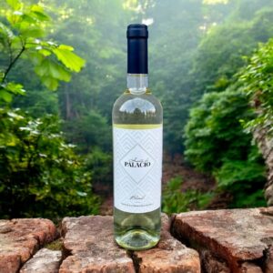 Wino El Progreso Huerto de Palacio Blanco Joven Tierra de Castilla VdlT